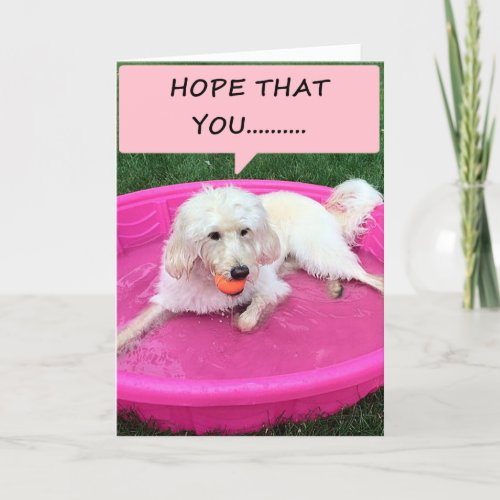 DOG IN SWIMMING POOL DECLARES HIS LOVE TO YOU CARD