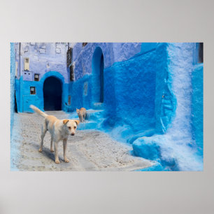 Dog in the Blue City Poster