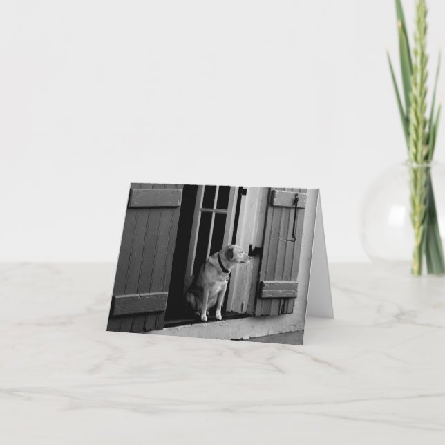 Dog in the Doorway Note Card (Front)