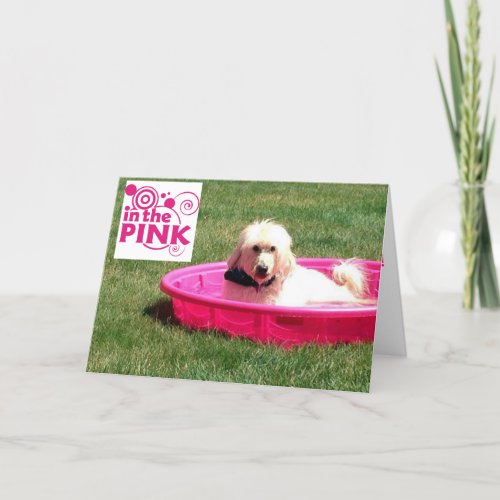 DOG_IN THE PINKIN THE POOL ON YOUR BIRTHDAY CARD