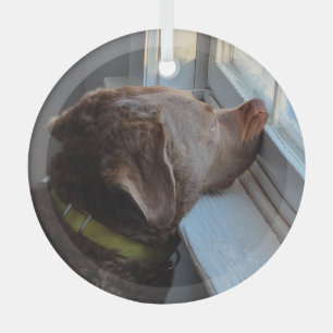 Dog in the Window Glass Ornament