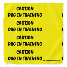 Dog in Training Yellow Bandana