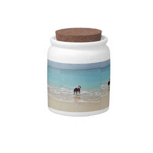 Dog in Water Photography Candy Jar