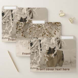 Dog in winter file folder