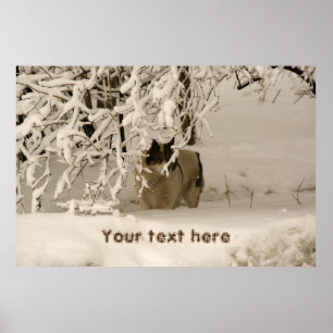 Dog in winter poster