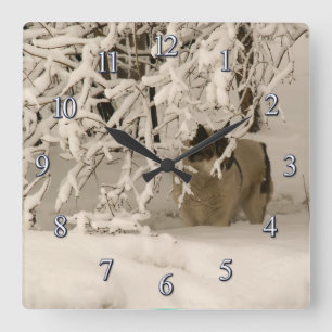 Dog in winter square wall clock