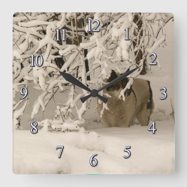 Dog in winter square wall clock (Front)
