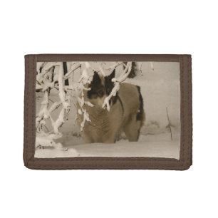 Dog in winter tri-fold wallet