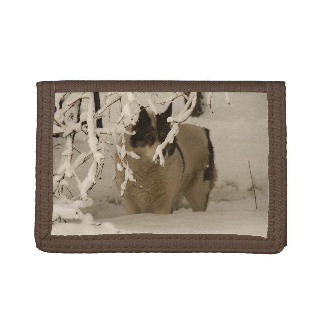 Dog in winter trifold wallet (Front)