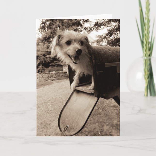 Dog Inside a Mailbox Card (Front)