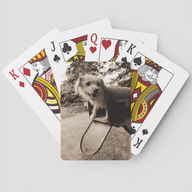 Dog Inside a Mailbox Poker Cards (Back)