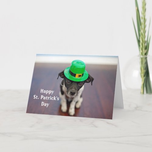 Dog Irish Hat St Patricks Day Holiday Card