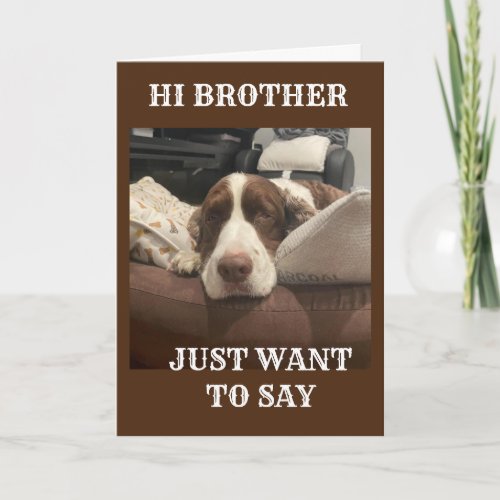 DOG IS GETTING HIS WOOF ON YOU ARE 40 BROTHER CARD