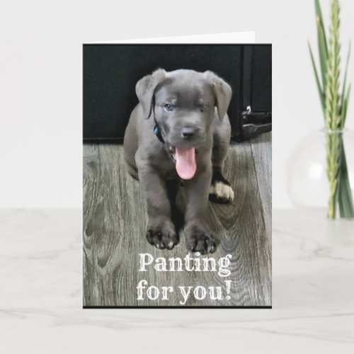 DOG IS GETTING HIS WOOF ON YOU ARE 40 CARD