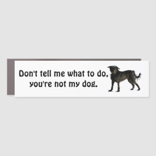 Dog is my boss bumper sticker car magnet