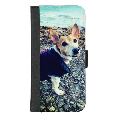 Dog Jack Russell Terrier iPhone 87 Plus Wallet Case