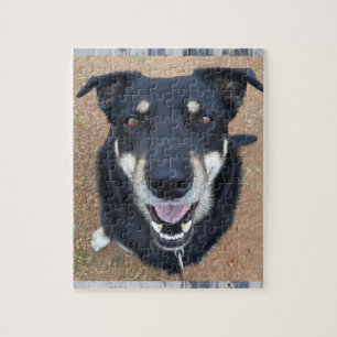 Dog Jigsaw Jigsaw Puzzle
