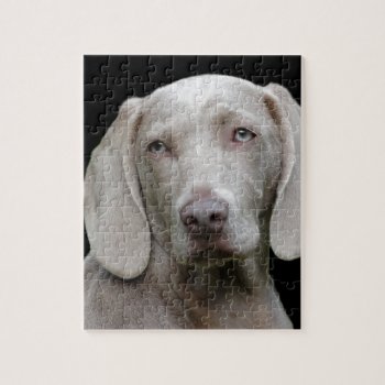 Dog Jigsaw Puzzle by somedon at Zazzle