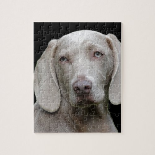 dog jigsaw puzzle