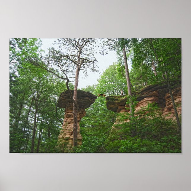 Dog Jumping from Stand Rock in Wisconsin Dells Poster (Front)