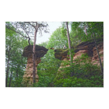 Dog Jumping from Stand Rock in Wisconsin Dells
