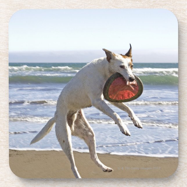Dog jumping to catch a frisbee on beach beverage coaster (Front)
