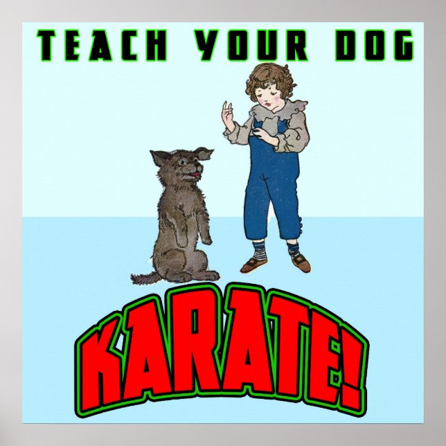 Dog Karate 2 Poster (Front)