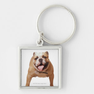 ,dog keychain