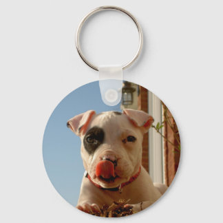 Dog Keychain