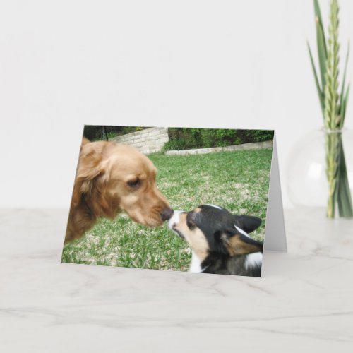 Dog Kiss Romantic Valentines Day Holiday Card