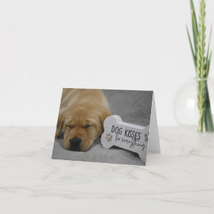 Dog Kisses Fix Everything Labrador Puppy Letterpress Thank You Card