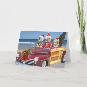 Dog/Lab on the Beach in Santa Hat & Hawaiian Shirt Holiday Card