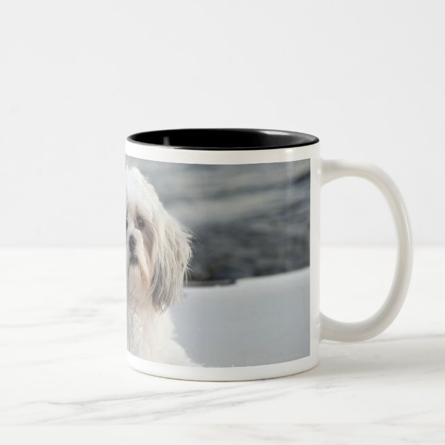 Dog laying by the water Two-Tone coffee mug (Right)