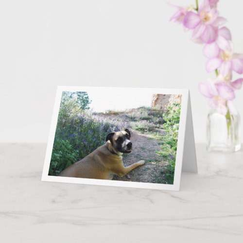 Dog Laying in Wildflowers Portrait Card