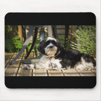 Dog laying on decking in the sun mouse pad