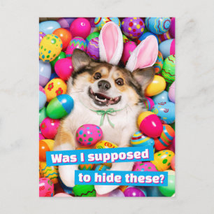 Dog Laying on Easter Eggs Postcard