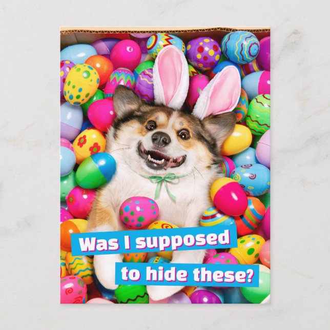 Dog Laying on Easter Eggs Postcard (Front)