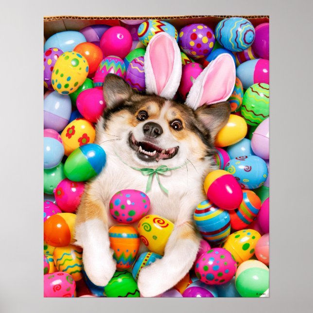 Dog Laying on Easter Eggs Poster (Front)