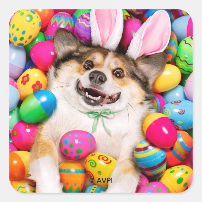 Dog Laying on Easter Eggs Square Sticker (Front)
