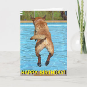 Dog leaping into pool birthday card