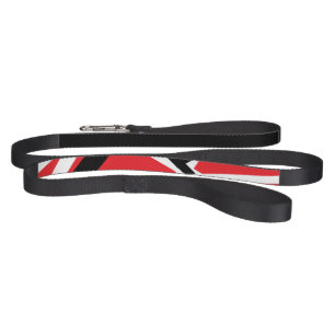 Dog Leash