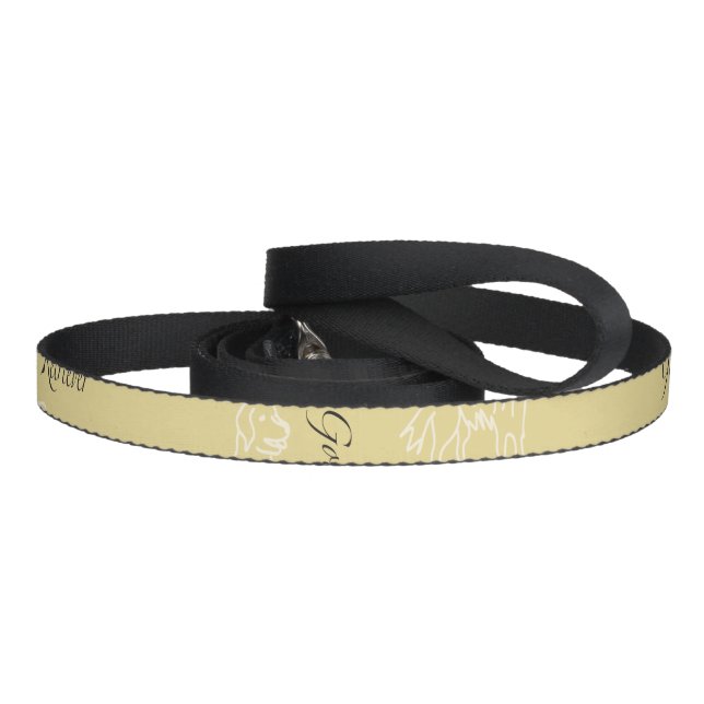 Dog leash, for Golden Retriever. Pet Leash (Handle)
