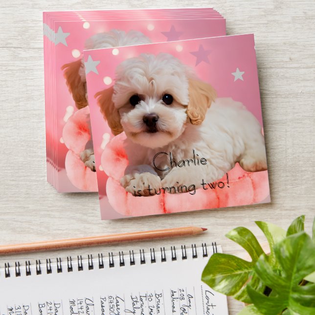 Dog Let's Party Birthday  Envelope (Stacked)