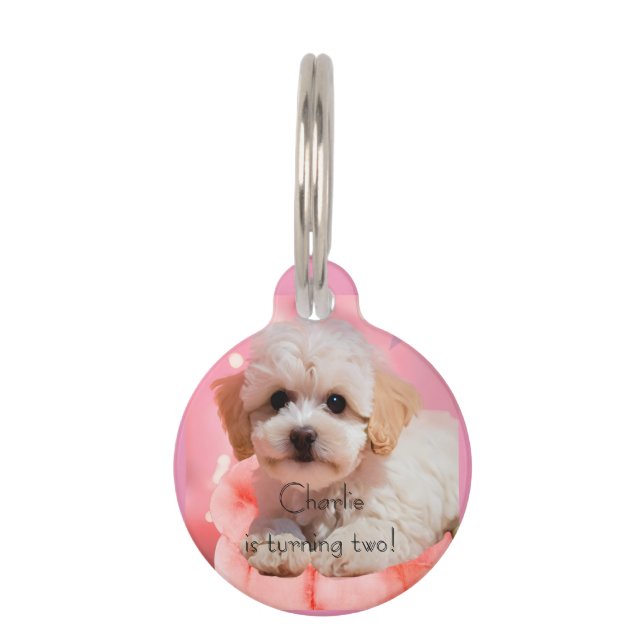 Dog Let's Party Birthday  Pet ID Tag (Front)
