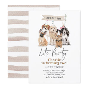 Dog Let's Pawty Birthday Invitation