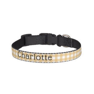 Dog Let's Pawty Birthday Pet Collar