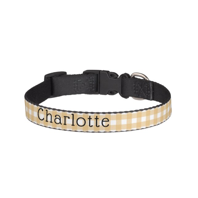 Dog Let's Pawty Birthday Pet Collar (Front)