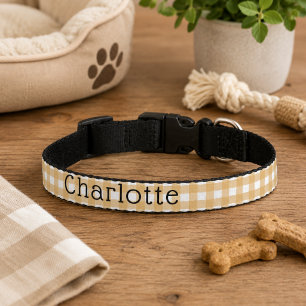 Dog Let's Pawty Birthday Pet Collar