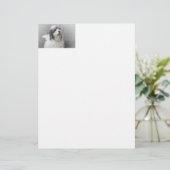 Dog Letterhead (Standing Front)