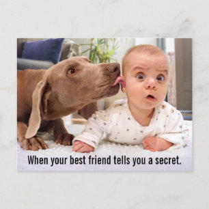 Dog Licking Baby's Ear Invitation Postcard